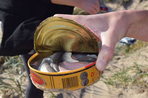 the stinkiest fish in the world|Sweden’s Surströmming: The ‘Try It If You Dare’。